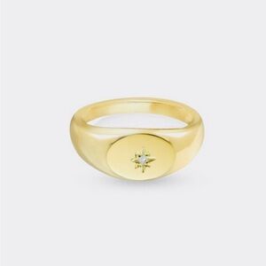 Argento Vivo ciel de nuit signet ring